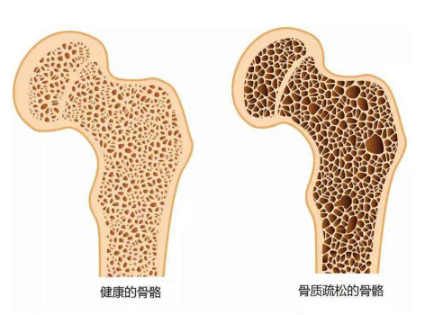 绿巨人视频app黄色官方下载分析仪能够准确检测绿巨人视频app黄色官方下载的正常值