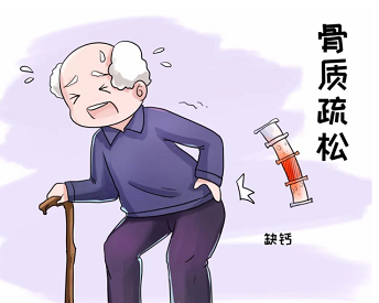 国产绿巨人视频app黄色官方下载仪引用传导技术超声多发射多接收技术检测骨质情况